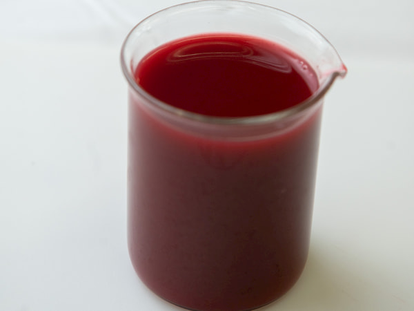 Concentrados de frutas